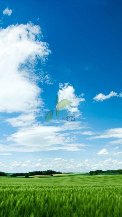 WZ125C֙CWվO